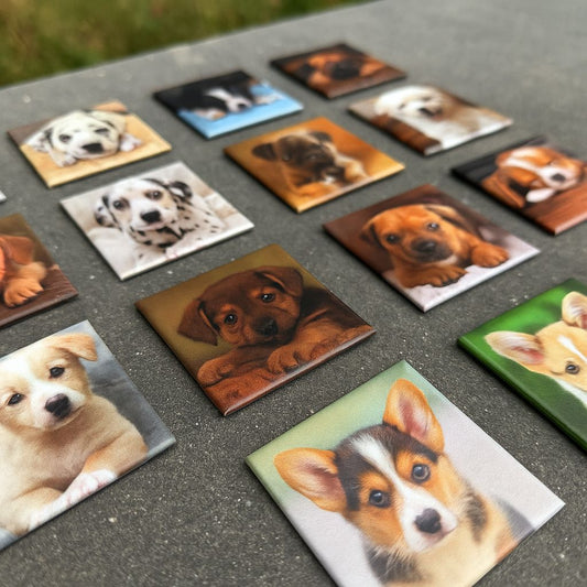 2”x2” Custom Magnets